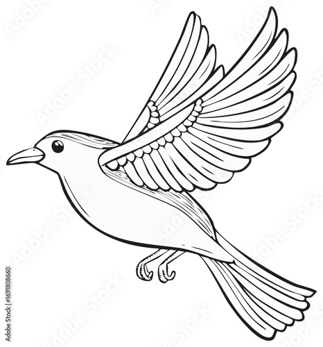 Line art illustration of a bird flying, coloring page with simple stylized bird with wings spread for kids and adults