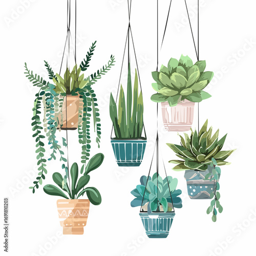 Hanging Houseplant Vector Illustration — Decorative Green Succulents and Ferns in Modern Pots for Home Décor