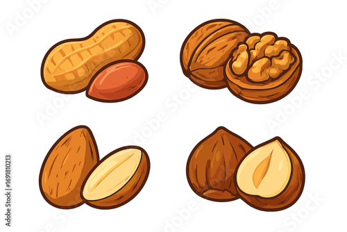 Nuts icon collection in cartoon vector style. Set includes peanut, walnut, almond, hazelnut. Isolated illustration for healthy food, snack concepts and nutrition design elements.