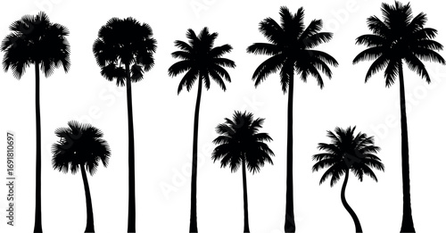 Collection of silhouette palm trees vector illustration scalable graphic design elements for tropical themes