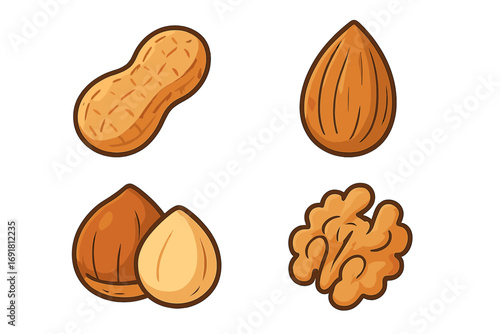 Cartoon style nuts icon set, vector illustration with transparent background, ordered collection of peanut, almond, hazelnut, walnut in colorful sketch style