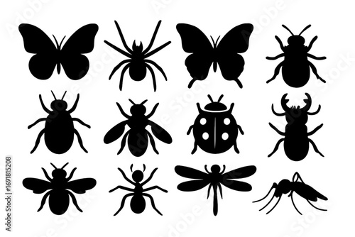 Silhouette collection of insects and butterflies, spiders, bees, ladybugs, ants, dragonflies, mosquitoes, beetles in iconic vector cartoon style, transparent background, ordered set
