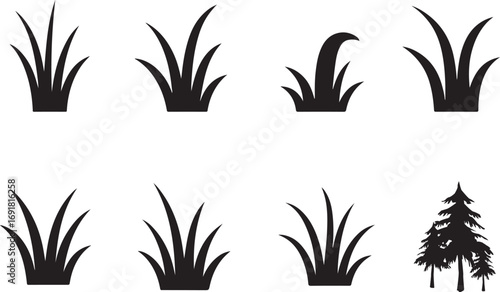 Black silhouette grass clumps and pine trees white