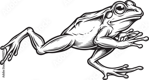 Black and White Illustration of a Leaping Frog amphibian