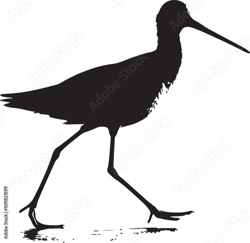 Silhouette of a wading bird walking on the shore vector