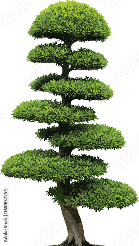 Topiary tree illustration, ornamental garden plant design, trimmed green foliage tree vector, decorative landscaping tree art, bonsai style shape
