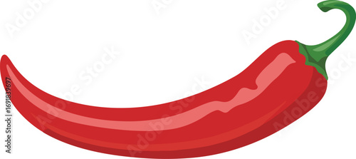 Illustration of a single shiny red chili pepper on white background