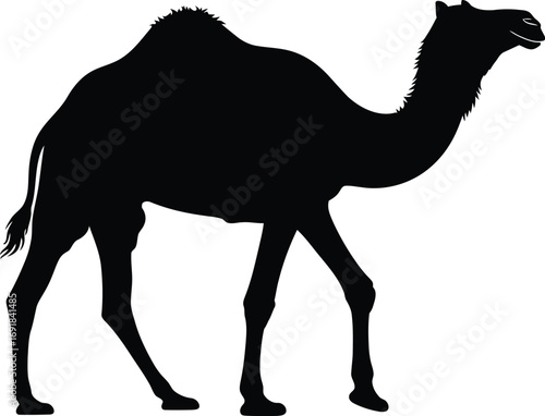 Silhouette of a camel, showcasing its distinctive hump and long neck in a side view, perfect for desert themes