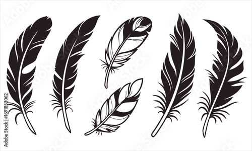 Black and white feather illustrations on a white background