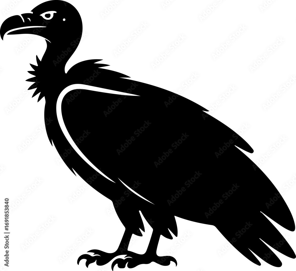 Fototapeta premium Vulture bird silhouette vector illustration