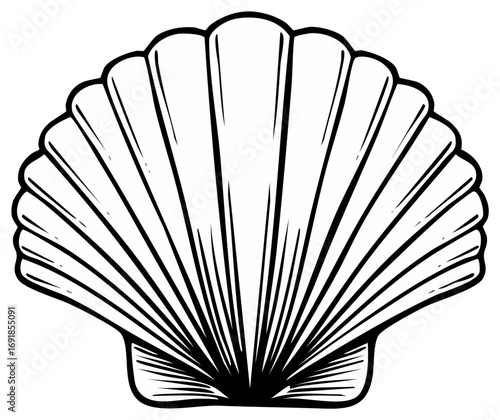 Graphic rendition of a Seashell.  Vector monochrome illustration of scallop shell on a white background.