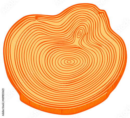 Orange Tree Cross Section with Age Rings Pattern