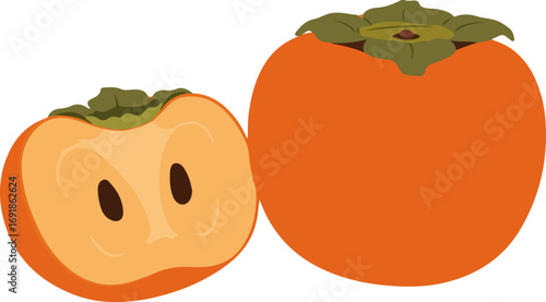 persimmon cross section