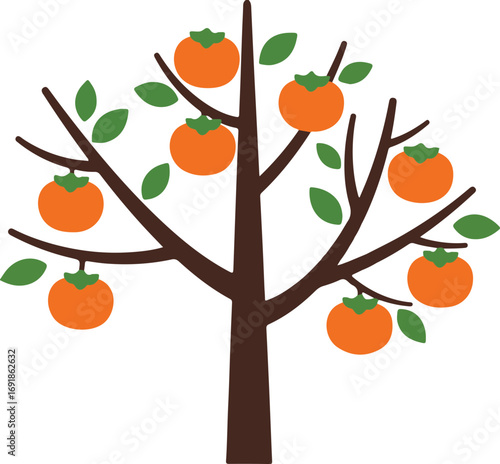 persimmon tree
