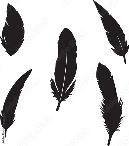 Black feather silhouettes vectors icons