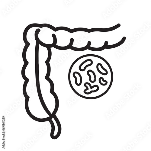Gut Microbiome and Colon Health Outline Icon