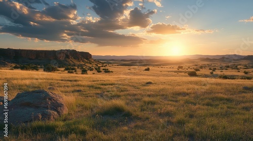 Fototapeta Naklejka Na Ścianę i Meble -  Sunset over wide grass field with rocks and trees natural landscape horizon sky clouds summer evening outdoor view