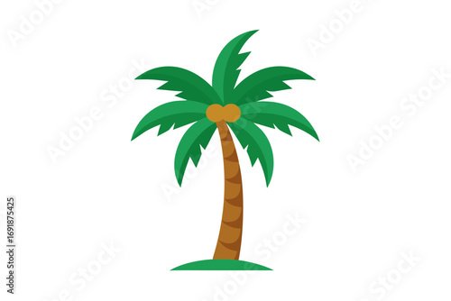 palm tree isolated on white