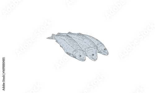 An illustration of three whole sardines or small fish lying together on a white background.