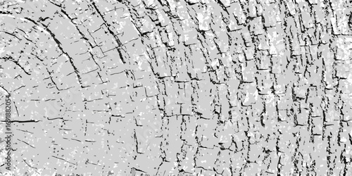 Abstract grayscale textured background with cracked wood grain pattern and rough surface