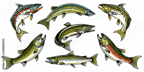Collection of six different trout fish illustrations in various poses and colors on white background