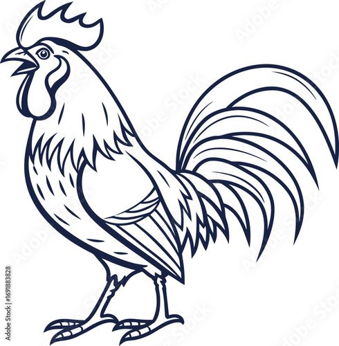 Vector illustration of a farm rooster, a proud cockerel standing isolated on a white background