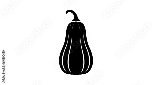 Butternut squash silhouette with transparent background