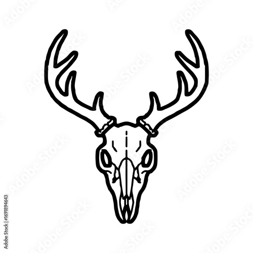 Deer skull with antlers with transparent background