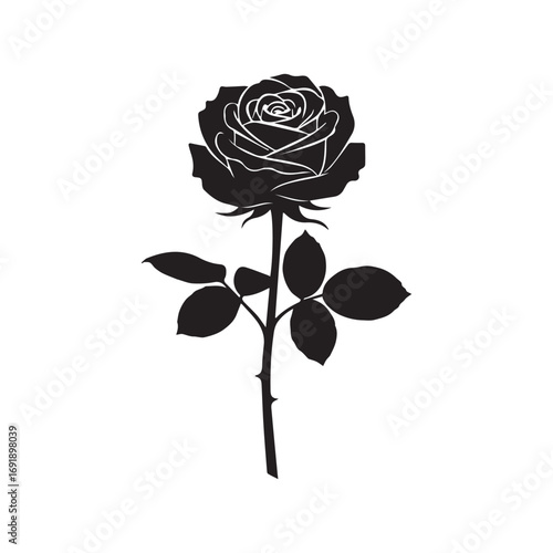 Elegant Silhouette of a Single Rose Flower a Symbol of Love and Romance with Delicate Petals
