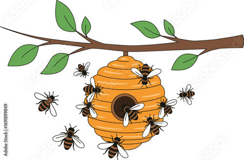 Cartoon beehive hanging from tree branch with flying bees, honeycomb nest, nature wildlife scene, pollination concept, cad drawing flat vector illustration