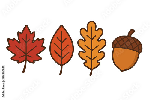 Vibrant autumn leaves and acorn vector, colorful fall leaf set with maple, oak, elm leaves and acorn illustration, flat design for seasonal decoration and crafts, transparent background