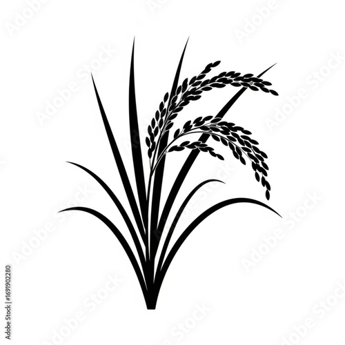 Vector art of rice plant illustration with grains