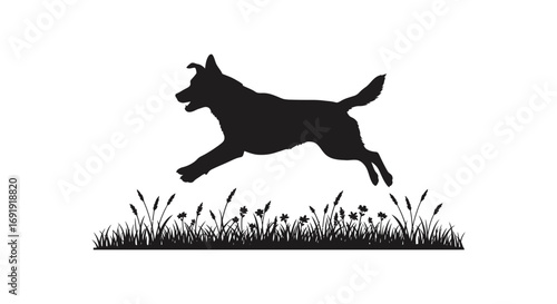 a dog silhouette leaping over grassy field