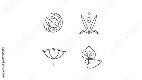 Animated plants allergens line icons. Grass blossom causing allergic reaction animation set. Common natural triggers. Botany. Outline elements on white background. HD video with alpha channel