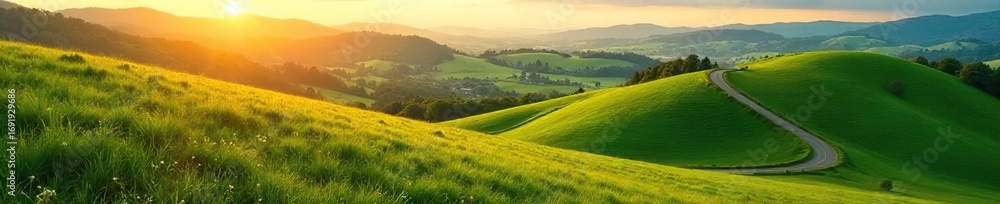 Obraz premium Serene landscape featuring multiple winding lanes through lush green fields and rolling hills, bathed in golden sunlight Perfect for travel, nature, and rural themes , lanes, breathtaking, vibrant