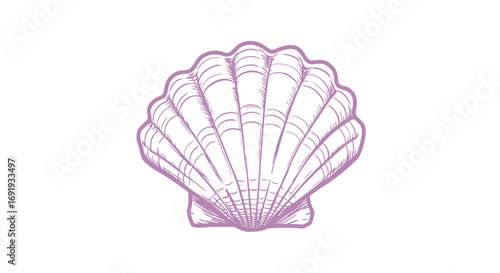 Elegant seashell illustration pink outline.