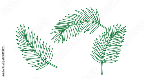 Green palm leaves illustration design.