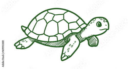 Green Sea Turtle Line Drawing Illustration 1.