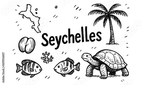 Seychelles hand drawn elements: tropical vibes with turtles and palm trees
