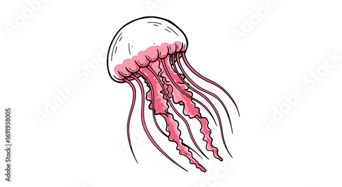 Pink jellyfish underwater ocean creature 1.