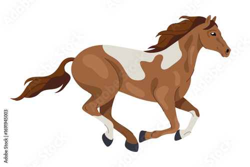 American paint horse side view. Vector running animal or equine movement. APHA equestrian gallop or gait. Mammal with hoof and mane. Mare or mustang, stallion motion icon. Sport broodmare emblem.