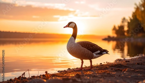 Goose contemplates the sunset on a serene lakeshore bathed in golden light
