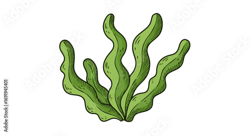 vibrant green seaweed underwater plant life.