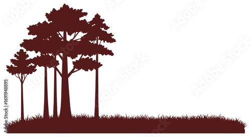 a serene forest scene with tall trees and grassy ground