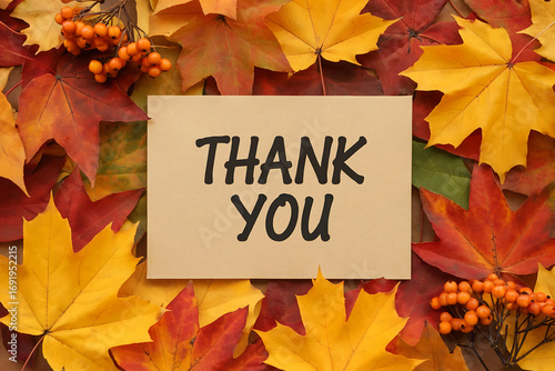 Fototapeta Naklejka Na Ścianę i Meble -  Thank You card on a bed of colorful autumn maple leaves and berries message fall