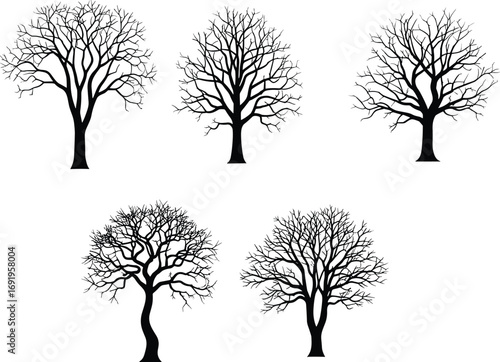 Silhouette, leafless trees, winter forest, bare branches, seasonal nature, black tree shapes, isolated trunks, botanical illustration, vector art, landscape design, woodland elements, minimalist style