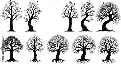 Leafless tree silhouettes vector set, barren winter trees, spooky forest shapes, birds on branches, natural and stylized designs, seasonal clipart pack