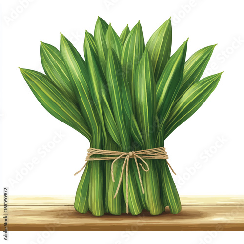 A fresh bundle of green pandan leaves tied with twine.