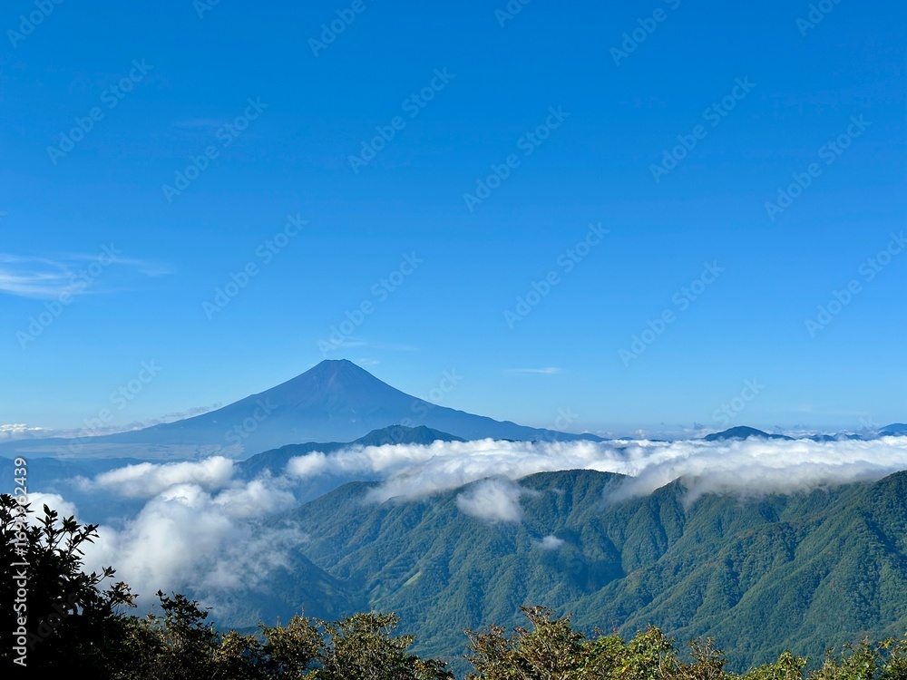 Obraz premium 夏の富士山。雁ヶ腹摺山から見る富士山。