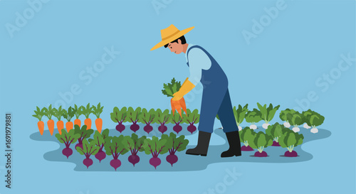 Farmer harvests crops
